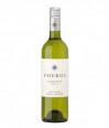 Phebus Torrontes